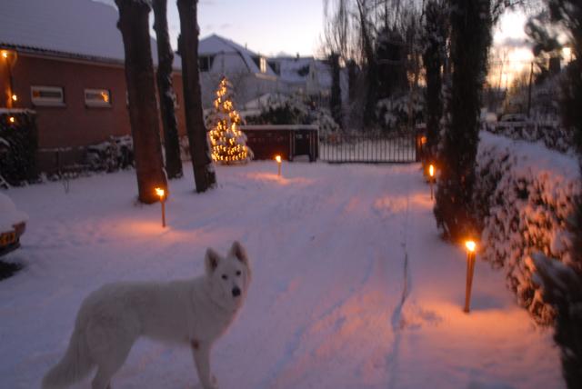 Fotos/Liam/liam_kerst_sneeuw[1].jpg